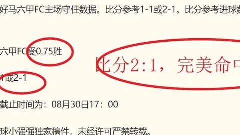 脚踏实地爬楼梯攻略博鱼体育官网：专注于每一步，雷迪克教你稳扎稳打